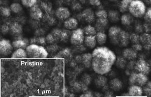 New battery gobbles up carbon dioxide New battery gobbles up carbon dioxide