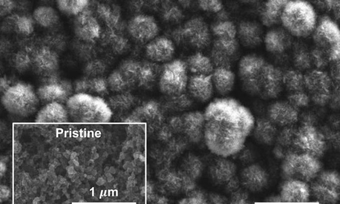 New battery gobbles up carbon dioxide New battery gobbles up carbon dioxide