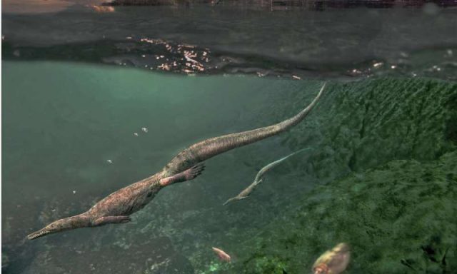 Oldest known aquatic reptiles probably spent time on land