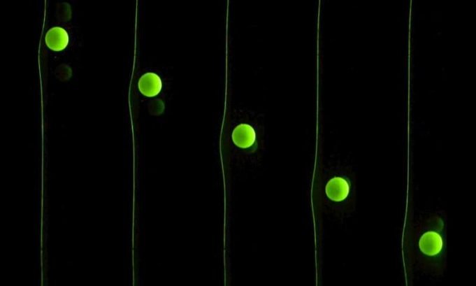 Particles surf their own waves, reveal how microbes and cells move through human body Particles surf their own waves reveal how microbes and cells move through human body