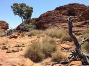 Research finds Aboriginals lived in Western Desert 50000 years ago