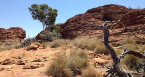 Research finds Aboriginals lived in Western Desert 50000 years ago