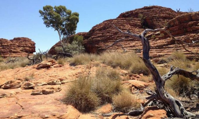 Research finds Aboriginals lived in Western Desert 50,000 years ago Research finds Aboriginals lived in Western Desert 50000 years ago