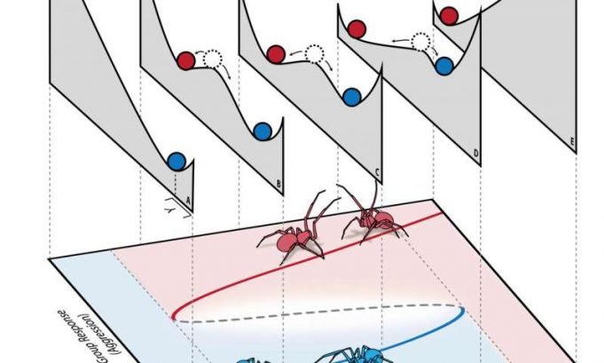 Social animals have tipping points too