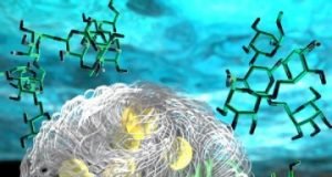 Synthetic organelle shows how tiny puddle organs in our cells work