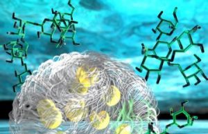 Synthetic organelle shows how tiny puddle-organs in our cells work Synthetic organelle shows how tiny puddle organs in our cells work