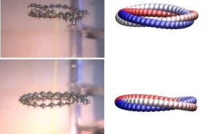 The periodic motion of flexible knots, and the connection to DNA The periodic motion of flexible knots and the connection to DNA