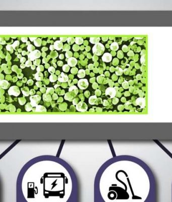 X-rays uncover a hidden property that leads to failure in a lithium-ion battery material X rays uncover a hidden property that leads to failure in a lithium ion battery material