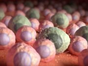 Zombie cells found in brains of mice prior to cognitive loss