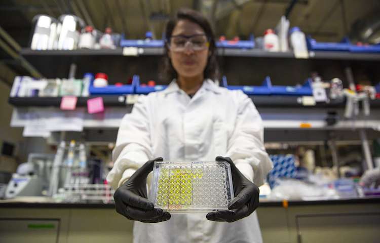 New test rapidly identifies antibiotic resistant superbugs