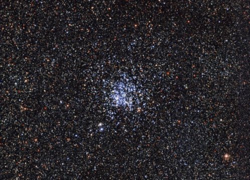 Aging a flock of stars in the Wild Duck Cluster