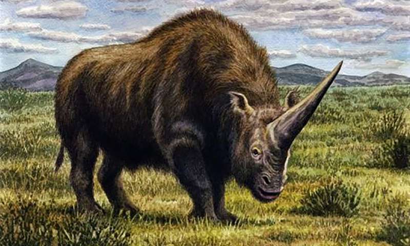 Climate change wiped out the Siberian unicorn
