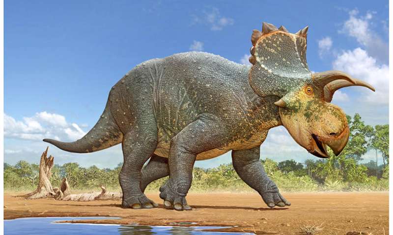 Horned dinosaur Crittendenceratops discovered in Arizona