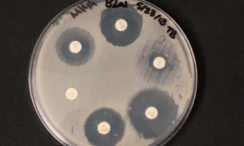 Stop sterilizing your dust—Antimicrobial chemical tied to antibiotic resistance genes in dust