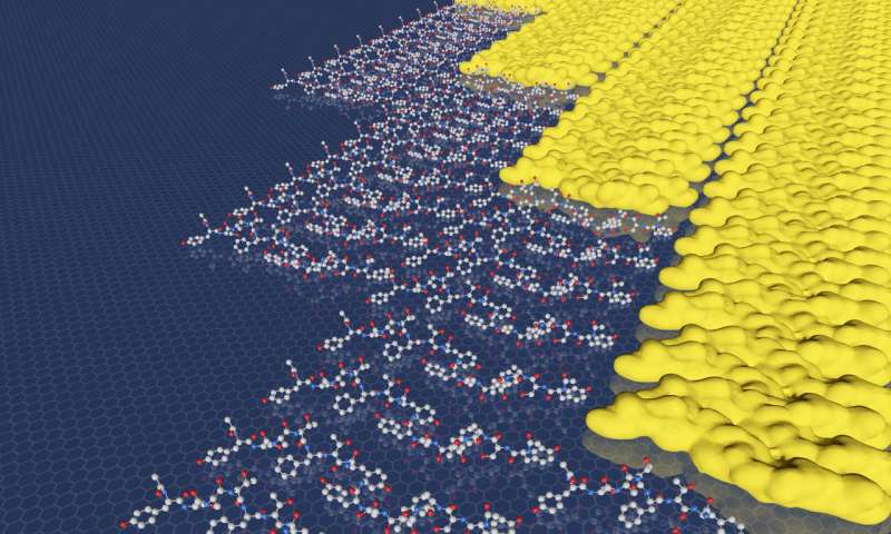 Two dimensional materials skip the energy barrier by growing one row at a time