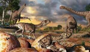 What the worlds oldest eggs reveal about dinosaur evolution