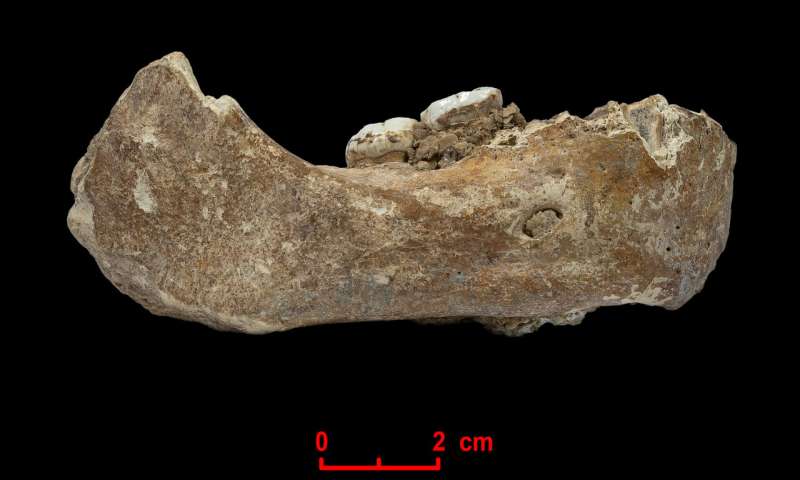 First hominins on the Tibetan Plateau were Denisovans