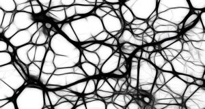 3 D printed tissues and organs without the scaffolding