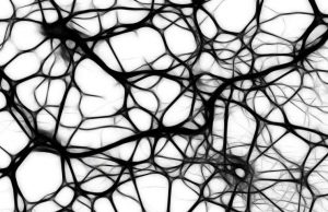 3-D printed tissues and organs without the scaffolding 3 D printed tissues and organs without the scaffolding