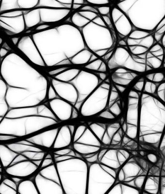 3-D printed tissues and organs without the scaffolding 3 D printed tissues and organs without the scaffolding
