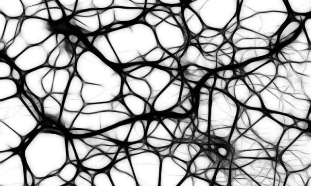 3 D printed tissues and organs without the scaffolding 3 D printed tissues and organs without the scaffolding