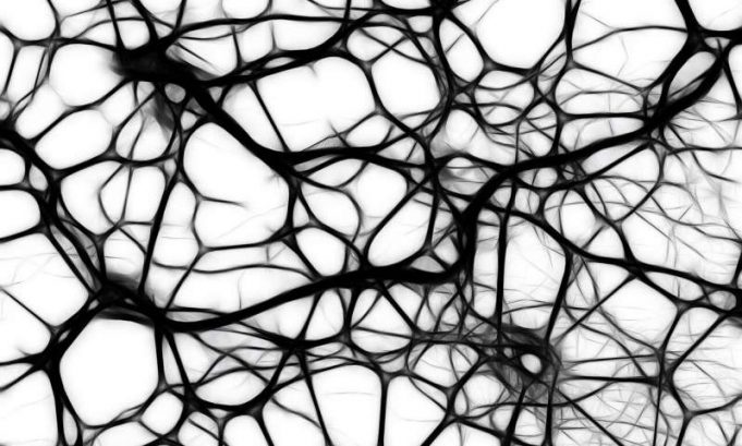 3-D printed tissues and organs without the scaffolding 3 D printed tissues and organs without the scaffolding