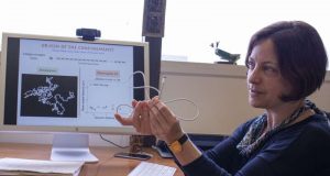 Applying the Goldilocks principle to DNA structure