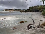 Baby pterodactyls could fly from birth