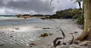 Baby pterodactyls could fly from birth