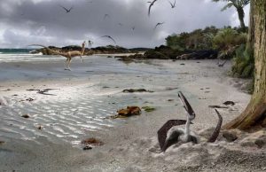 Baby pterodactyls could fly from birth Baby pterodactyls could fly from birth
