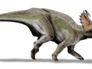 Dinosaur bones are home to microscopic life