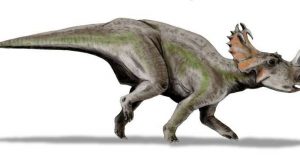 Dinosaur bones are home to microscopic life