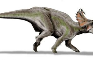 Dinosaur bones are home to microscopic life Dinosaur bones are home to microscopic life