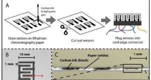 Food freshness sensors could replace use by dates to cut food waste