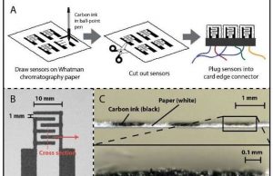 Food freshness sensors could replace ‘use-by’ dates to cut food waste Food freshness sensors could replace use by dates to cut food waste