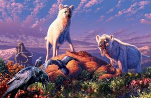 Fossil teeth reveal ancient hyenas in the Arctic Fossil teeth reveal ancient hyenas in the Arctic