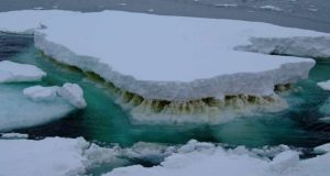 Leaving microbes out of climate change conversation has major consequences experts warn