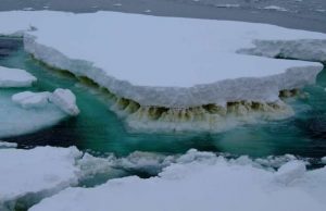 Leaving microbes out of climate change conversation has major consequences, experts warn Leaving microbes out of climate change conversation has major consequences experts warn