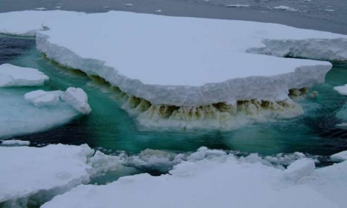 Leaving microbes out of climate change conversation has major consequences, experts warn Leaving microbes out of climate change conversation has major consequences experts warn