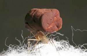 Making metal with the lightness of air Making metal with the lightness of air