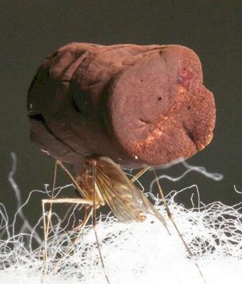 Making metal with the lightness of air