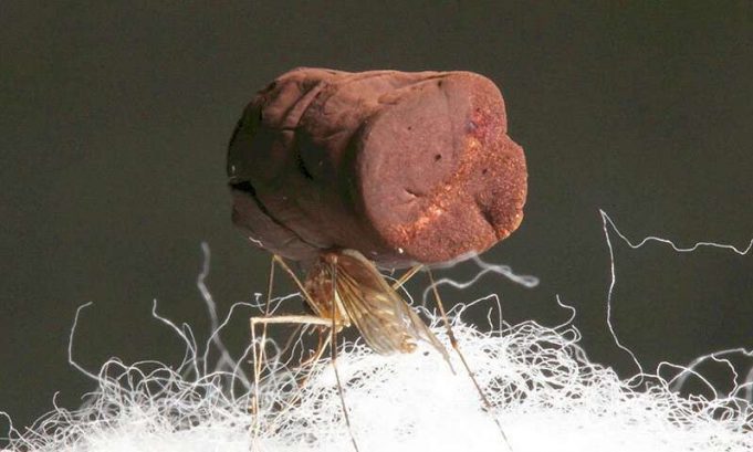 Making metal with the lightness of air Making metal with the lightness of air