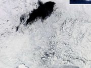 Mysterious holes in Antarctic sea ice explained by years of robotic data