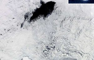 Mysterious holes in Antarctic sea ice explained by years of robotic data Mysterious holes in Antarctic sea ice explained by years of robotic data