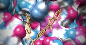 New vulnerability found in major human viruses