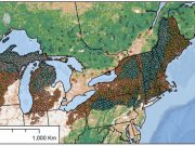 Older forests resist change—climate change that is