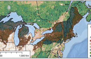 Older forests resist change—climate change, that is Older forests resist change—climate change that is