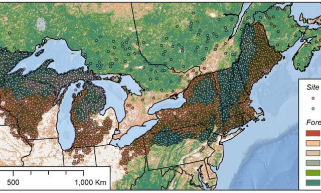 Older forests resist change—climate change that is Older forests resist change—climate change that is