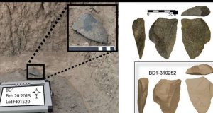 Oldest flaked stone tools point to the repeated invention of stone tools