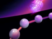 Oscillating quasiparticles the cycle of decay and rebirth